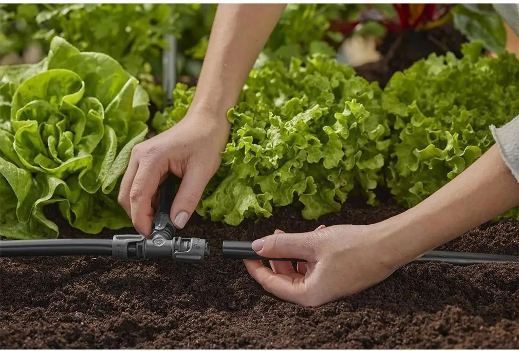 GARDENA 13 mm T-Stück mit Außengewinde – 5er-Pack, UV-beständig, frostsicher